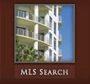 mls search